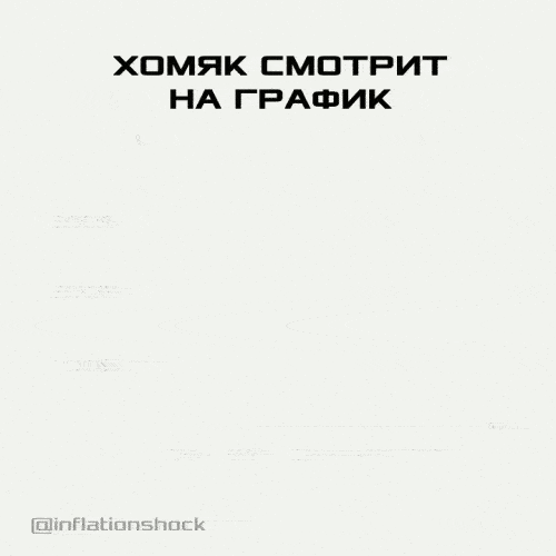 Хомяк смотрит на график